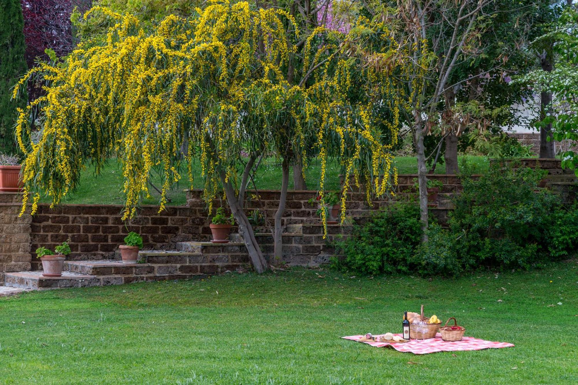 Villa Gli Eucalipti Cerveteri Ngoại thất bức ảnh