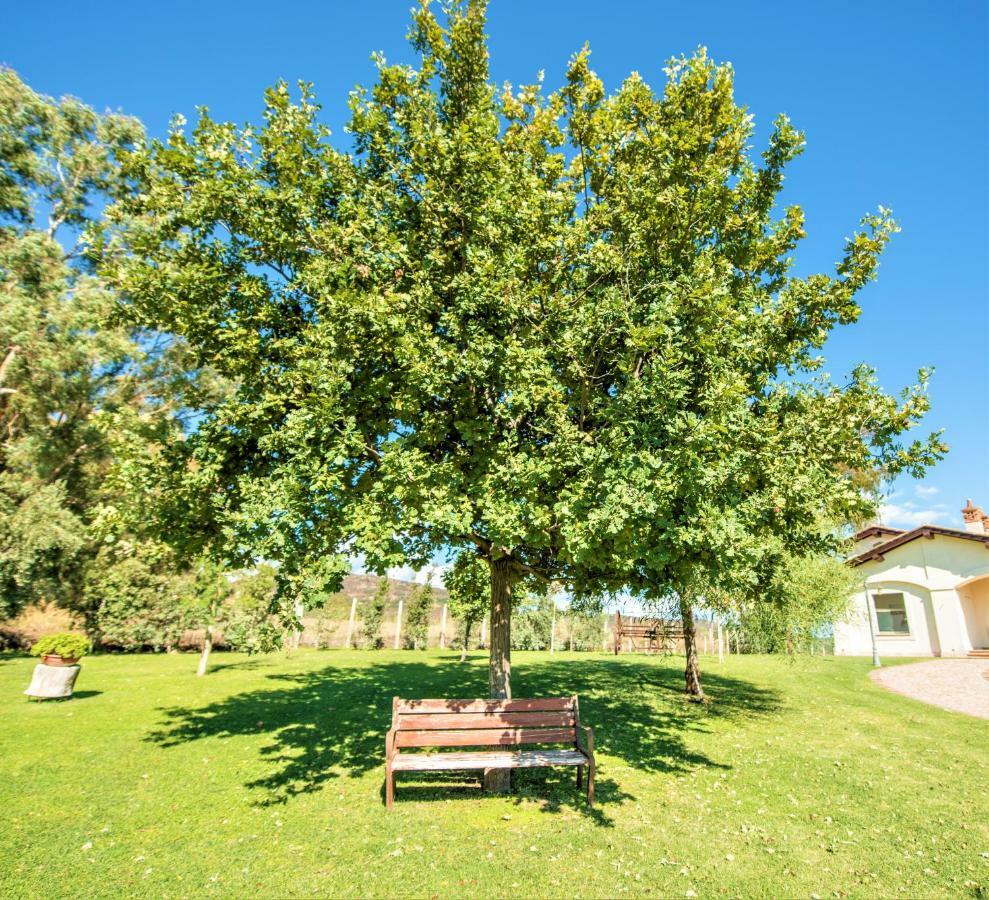 Villa Gli Eucalipti Cerveteri Ngoại thất bức ảnh