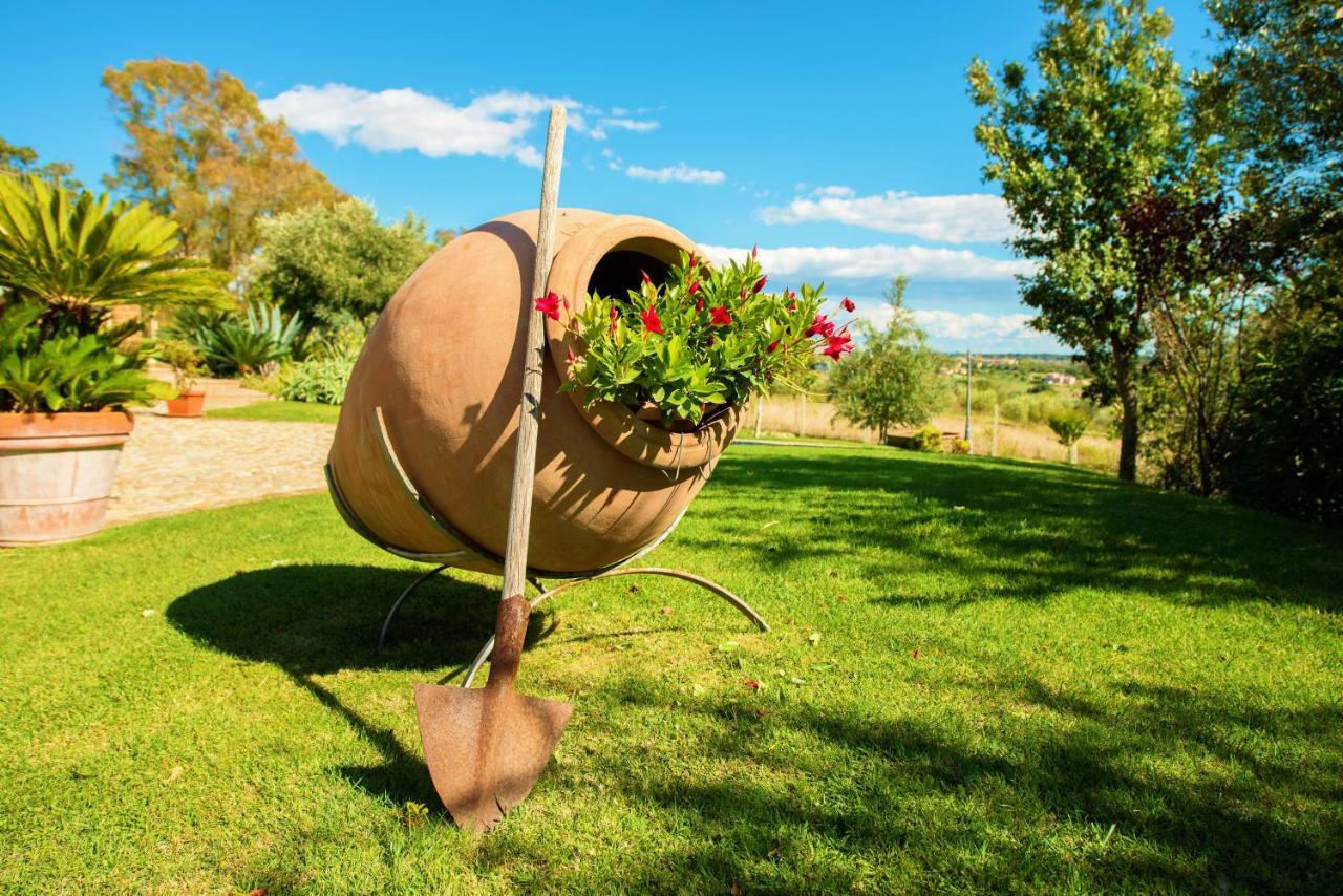 Villa Gli Eucalipti Cerveteri Ngoại thất bức ảnh